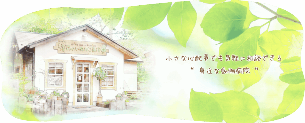 いぬねこ病院